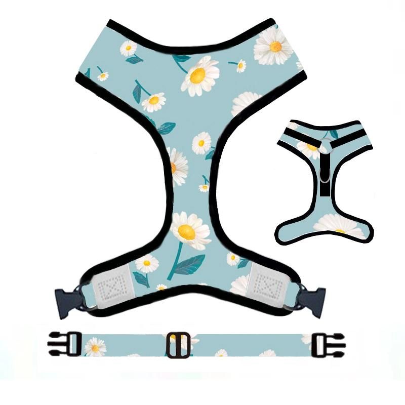 Factory 6 in 1 Custom Design No Pull Dog Harness Set