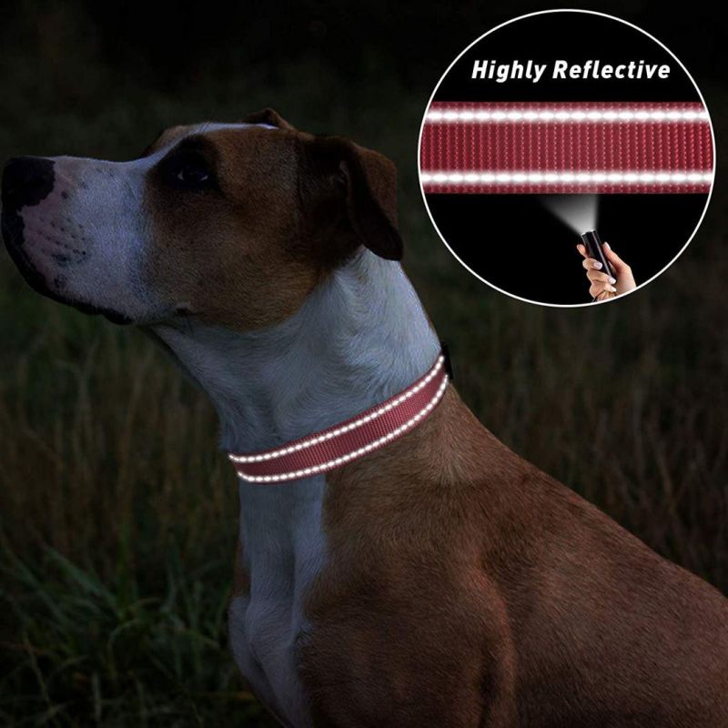OEM Custom Luxury Personalized Logo Adjustable Blank Plain Nylon Pet Dog Collar