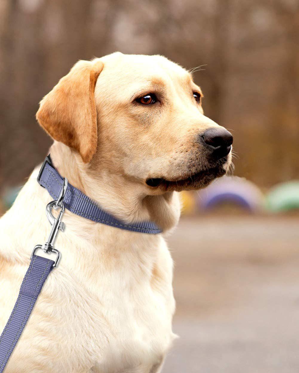 Reflective Nylon Dog Collar with OEM