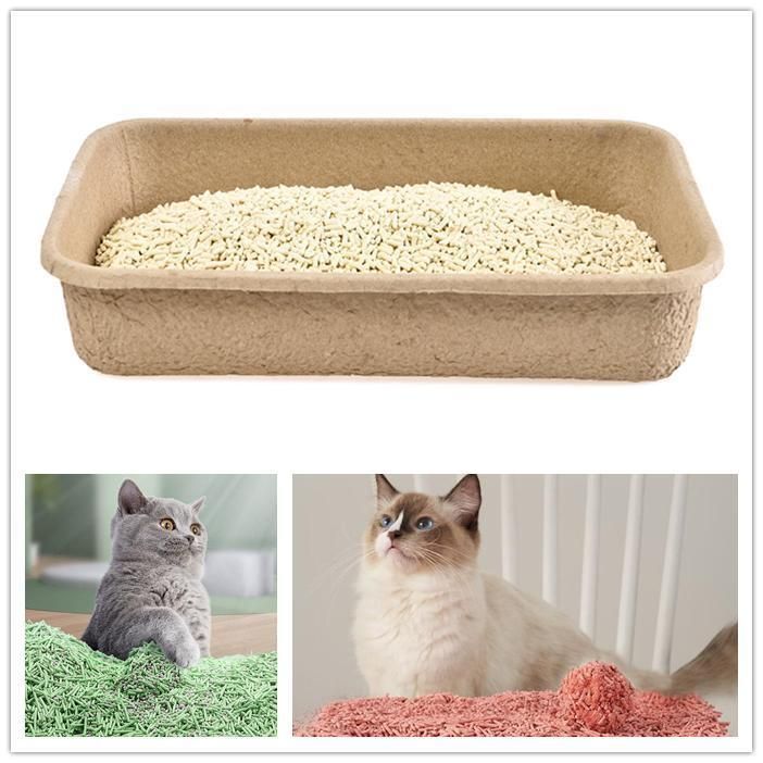 Plastic Packing Cat Litter for Cat Fast Clumping Cat Litter for Sale