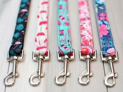 2022 OEM Sublimation New Collection Dog Leash Nylon with Ribbon Luxury Dog Leash