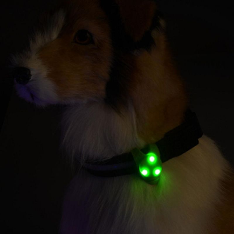 LED Pet Safety Light Flashing Dog Light