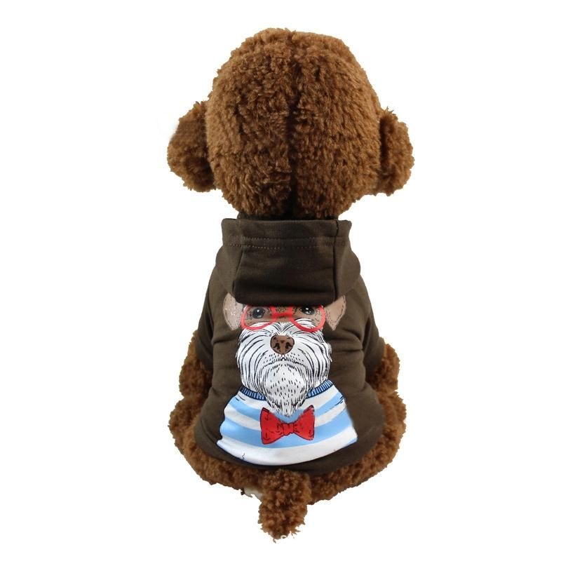 Spring Autumn Style Popular Logo Design Teddy Pomeranich Schnauzer Pet Dog Clothes