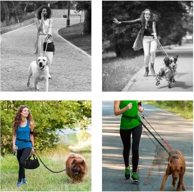 2019 Best Hands Free Leash for Medium Large Dogs with Storage Bag