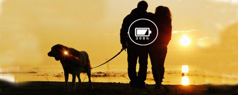 Clip-on Pet Dog Collar LED Light - Dog Lights for Collars