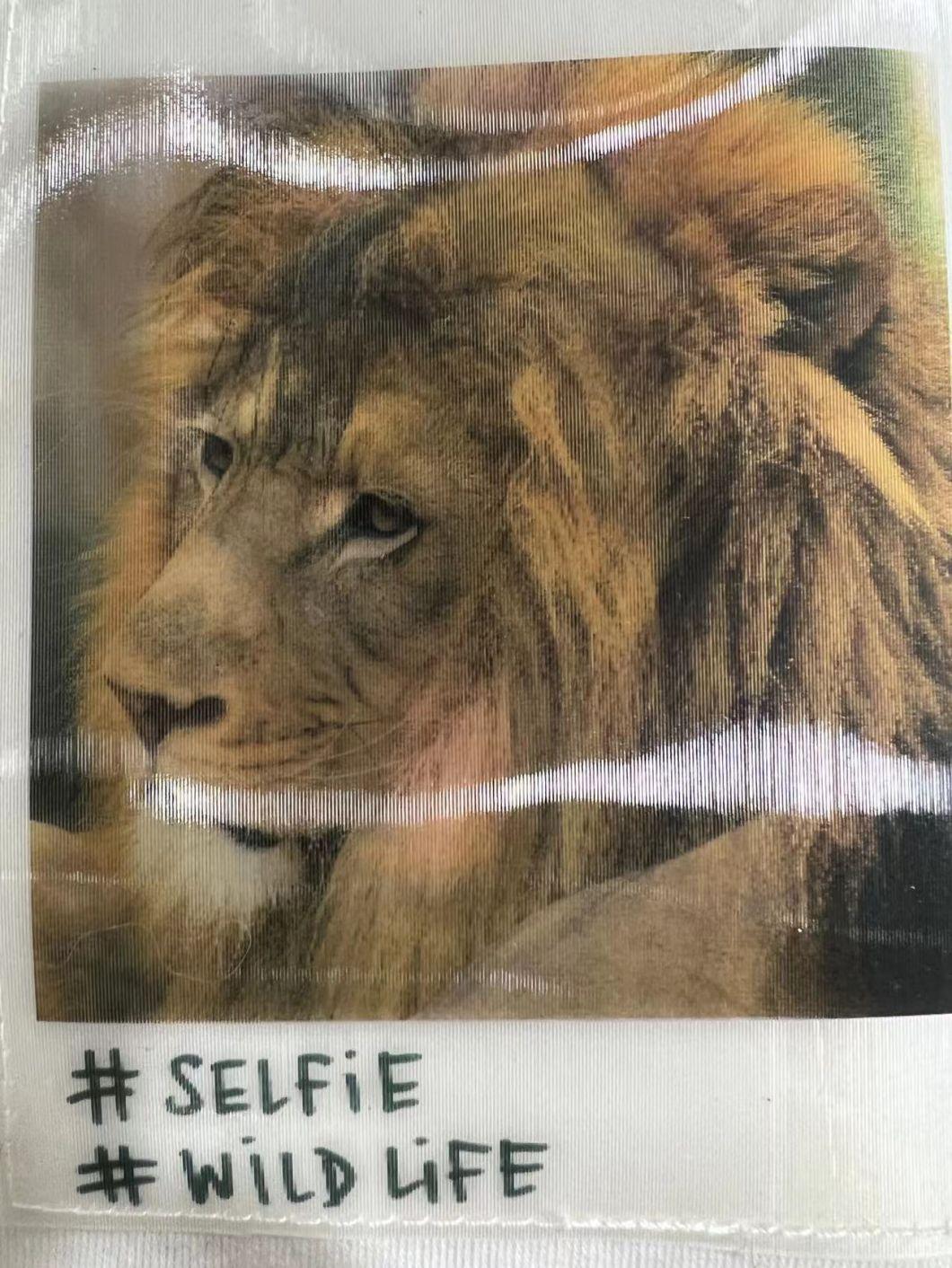 "Selfie Wild Life" Printing with Glitter Pet Products Pet Accessories Dog Clothes