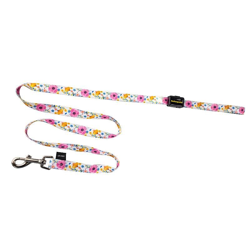 New Arrival Light up Dog Leash Illuminating LED Dog Nylon Pet Reflective Rechargeable LED Dog Leash