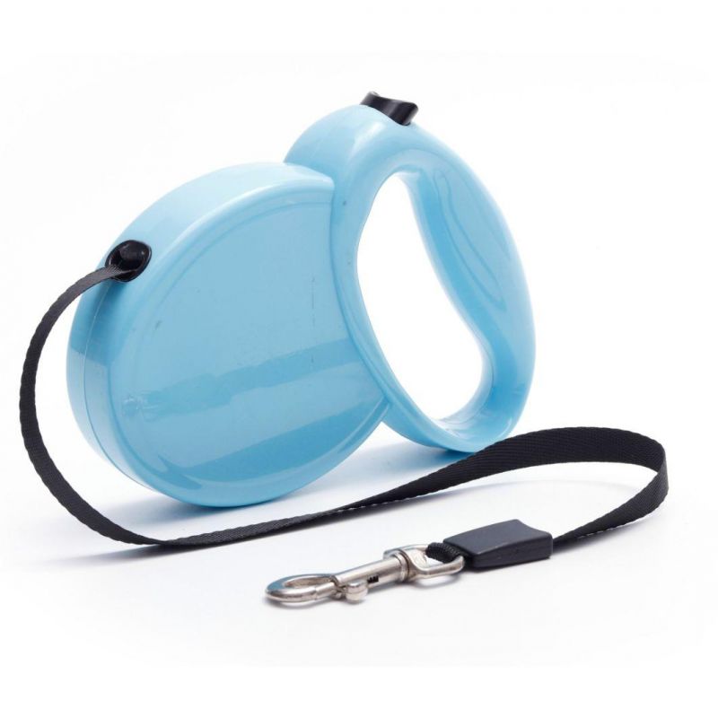 Manufacturer Wholesale Plastic Nylon Multi-Colors Automatic Retractable Dog Leash