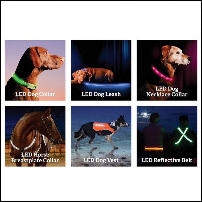 LED Dog Collar USB Rechargeable - Available in 6 Colors & 6 Sizes - Makes Your Dog Visible, Safe & Seen