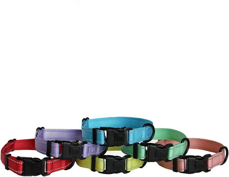 Durable Reflective Nylon Dog Collar with Multiple Colors