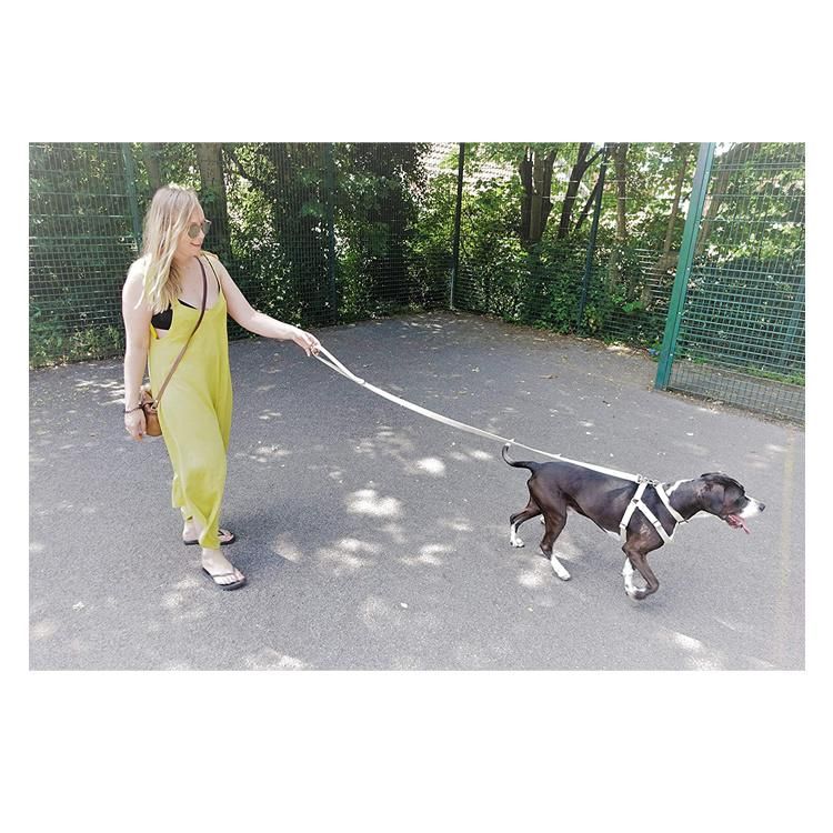 Durable Premium Hemp Organic Dog Collar Adjustable Quickly Release Plastic Buckle Pet Dog Cat Collar