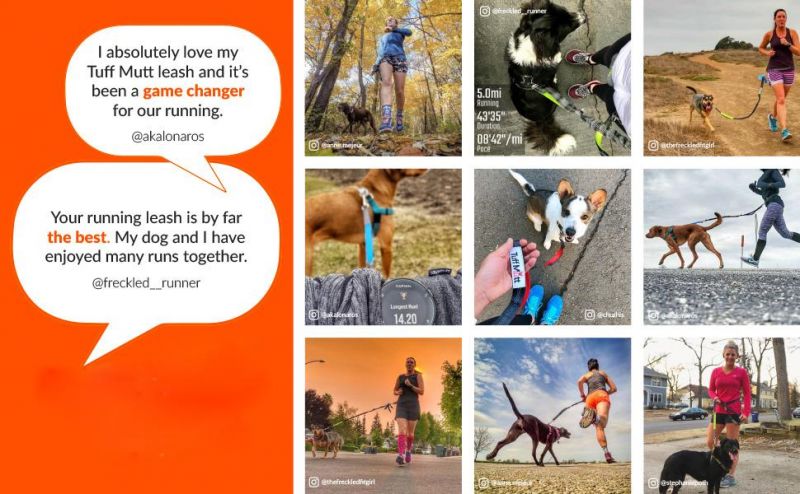 Hand-off Dog Leash for Training, Walking, Jogging and Running