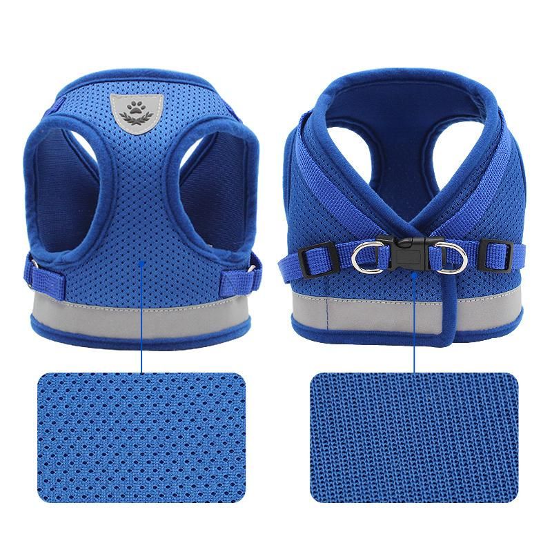 Best Quality Nylon Dog Harness and Leash for Family