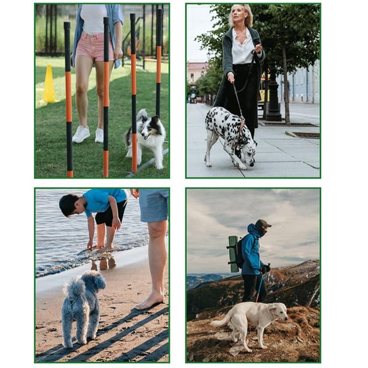 Portable Poop Bag Degradable Deodorant Garbage Bag