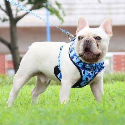 Dog Harness Leash Set with Poop Bag Dispenser