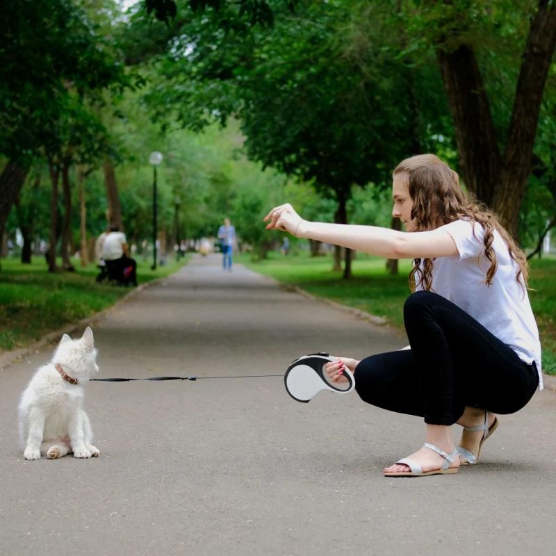 Heavy Duty Retractable Dog Leash with LED Flash Light