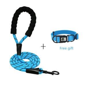 Dog Collar and Leash Set Blue M