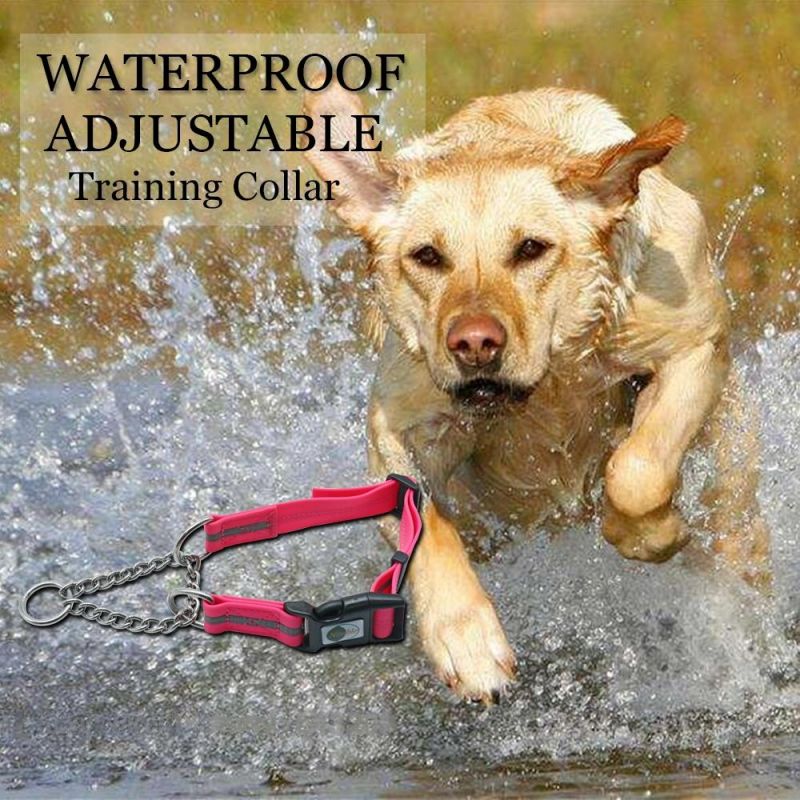 Stylish Reflective Puppy Nylon No Slip Martingale Adjustable Dog Collar