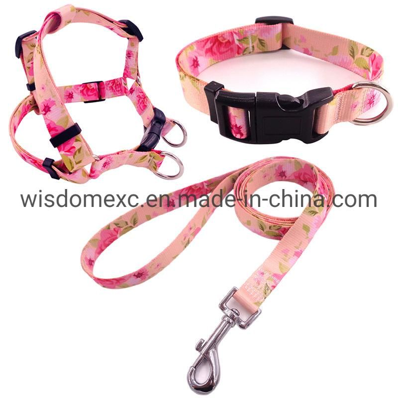 Recycled Polyester Webbing Pattern Printing Tape for Pets Products