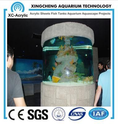 Transparent Culindrical Acrylic Aquarium