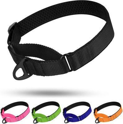 Soft Padded Durable Training Pet Collars with Multiple Colors