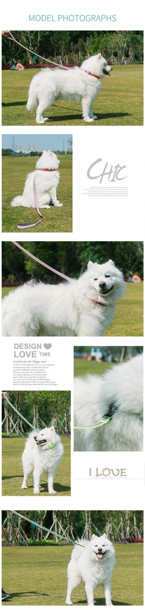 China Wholesale Factory Custom Logo Retractable Reflecttive Pet Dog Training Leads Premium Rope Collar Polyester/Nylon Hook Dog Leash