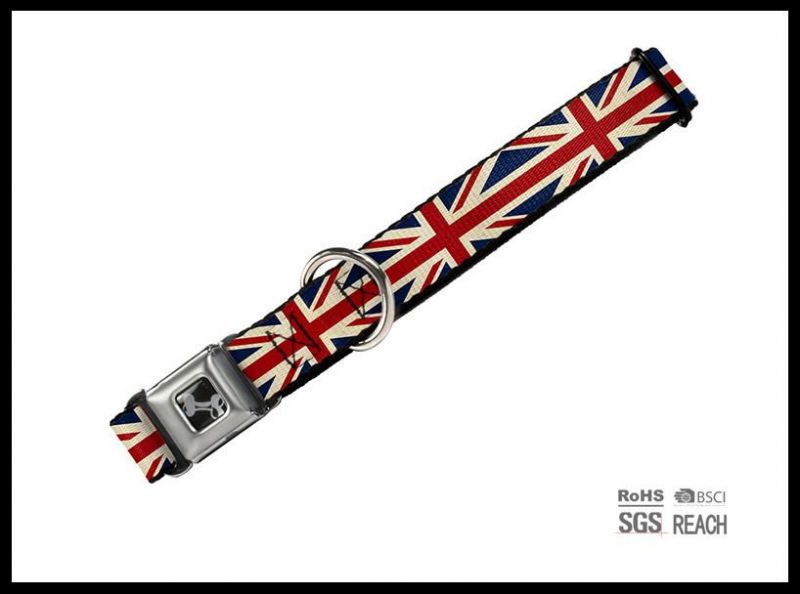 No Minimum Cute Fancy Fashion Quality Pet Dog Preppy Collar