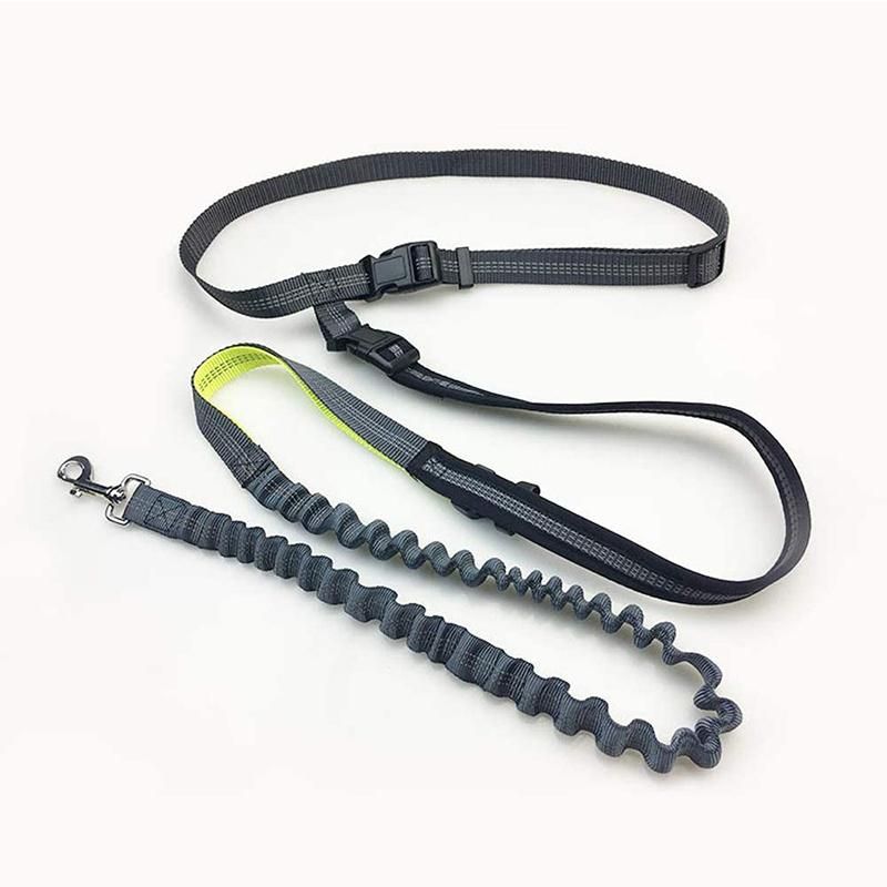 Hands Free Dog Leash and Collar for Running Walking Training Hiking