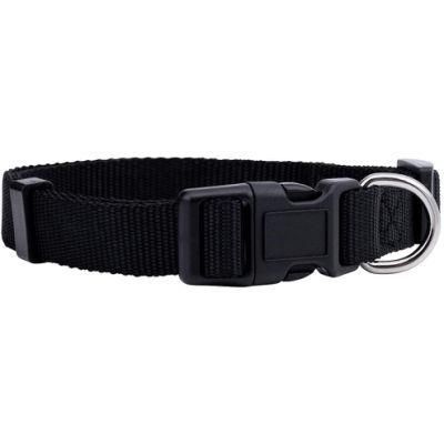 Basic Solid Adjustable Nylon Webbing Dog Collar with Plasitc Buckle and D-Ring for Puppy