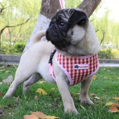 Vest-Style Dog Harness Summer Breathable Lattice Pet Chest Strap Dog Rope Pet Supplies