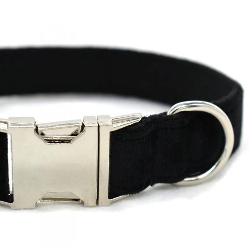 Classic Velvet Dog Collar with MOQ50PCS in Mixed Colors and Pattern Design