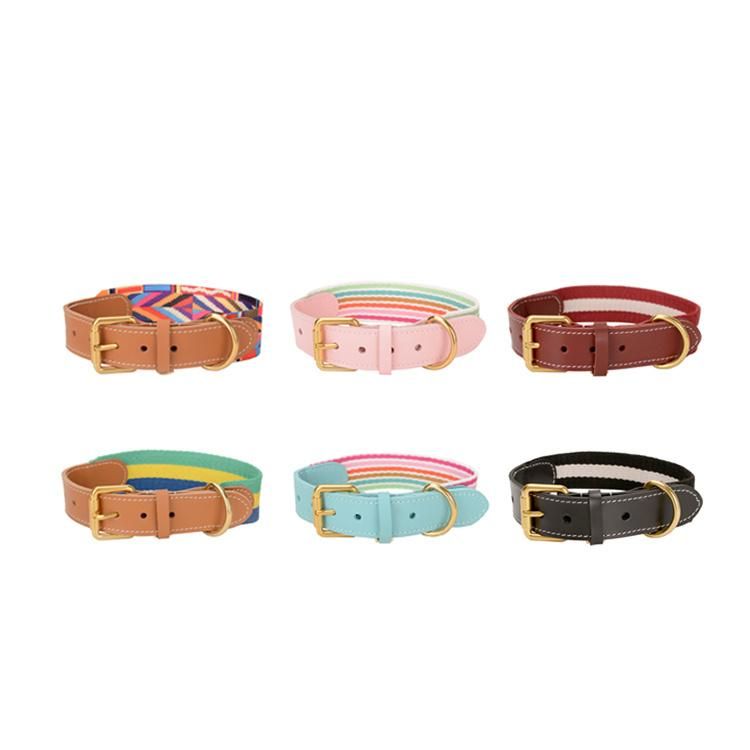 Wide Personalised Webbing Dog Collar with Leather