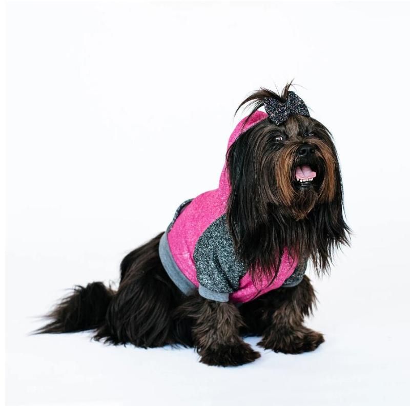 Wholesale Soft Colorful Sport Cotton Pet Apparel Dog Sweater Hoodie