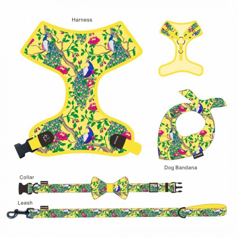 Heavy Duty Custom Designer Adjustable Luxury Fancy Fashion Harness Dog Collar and Leash Set