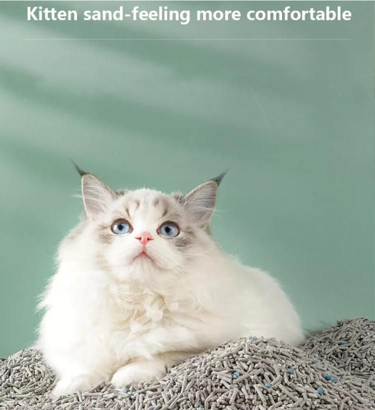 Food Grade Pet Tofu Cat Litter Soluble in Water Quickly Absorb Water Custom Flavor Flushable Bentonite Tofu Cat Litter