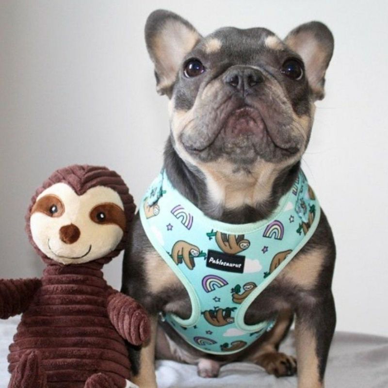 Customized Design&Logo Whole Sets Dog Harnesses