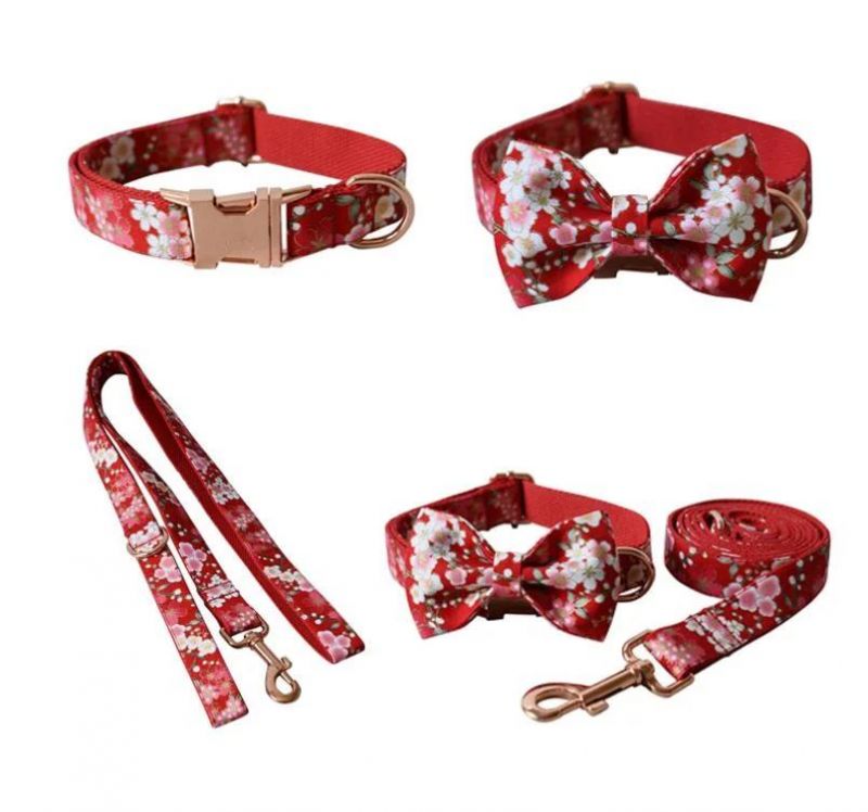 Japan Style Custom Dog Collar Leash with Fast Delivery