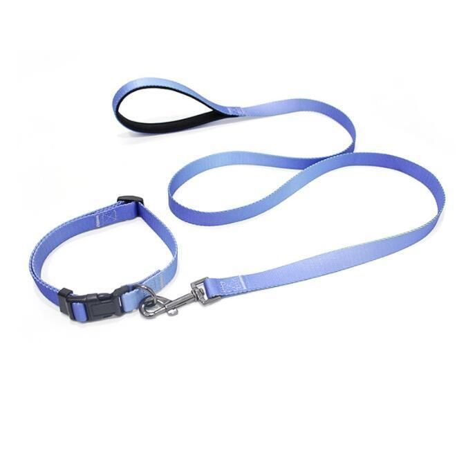 Gradient Dog Collar Durable and Fashionable Style