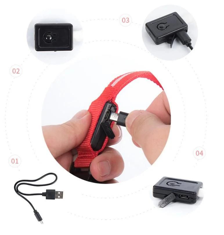 China Factory Price Night Safety Flashing Flashing USB Cable Adjustable Rechargeable Glow Light up LED Pet Dog Collar for Animals