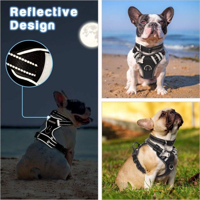 Dog Harness No Pull Pet Harnesses with Dog Collar