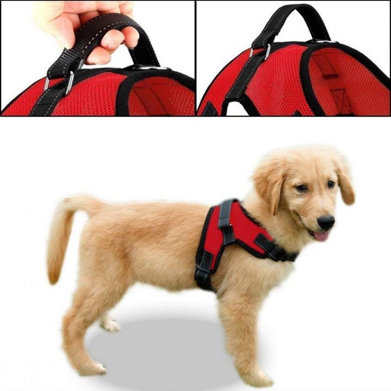 Lightweight, Eco-Friendly, Safe and Secure Walking Harness of Pet Products