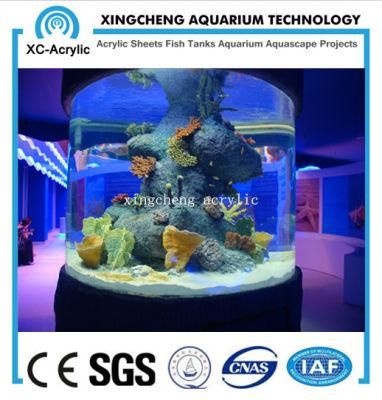 Transparent Cylindrical PMMA Fish Tank of Aquarium Project