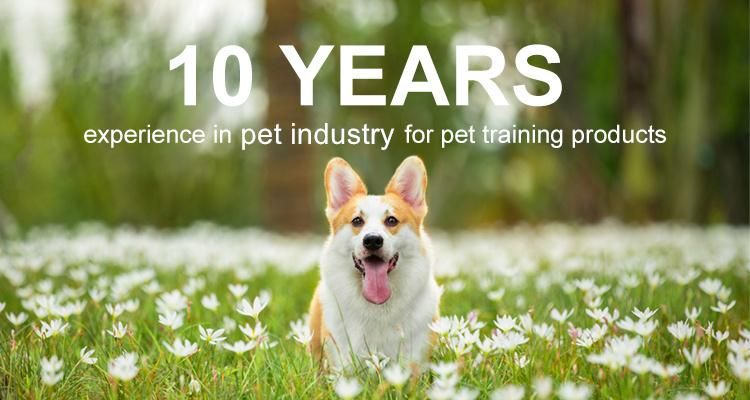2022 Amazon Premium Dog Salior Bowtie Polyester & Demin Refreshing Chequer Dog Sailor Bowtie Dog Accessories