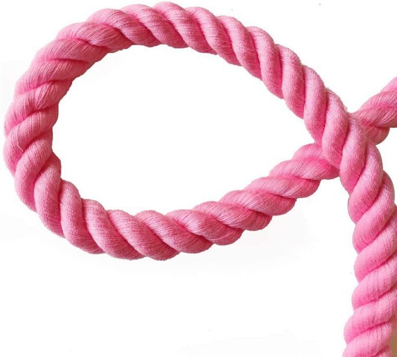 Easy Contorl Soft Handle Rope Dog Leash