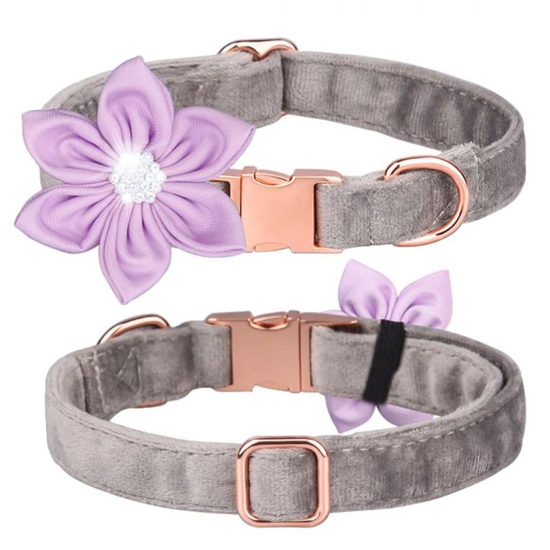 New Design Dog Collar with Flowers and Rhinestone Pet Collar