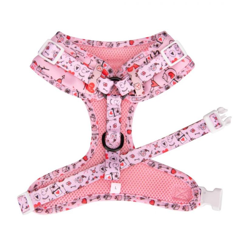 China Factory Direct New Pet Harness and Leash Comfortable Print Dog Jacket Breathable Dog Clothes Dog Harness