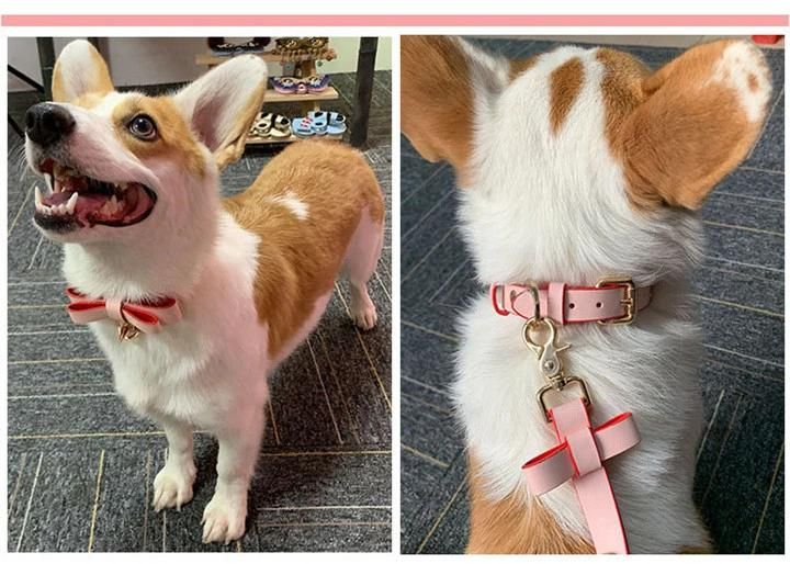 Ea080 Wings Cute Waterproof Luxury Designer Dog Collars & Leashes Set Accessories Trendy Puppy Logo Custom Leather High End Luxury Pet Collar and Leash