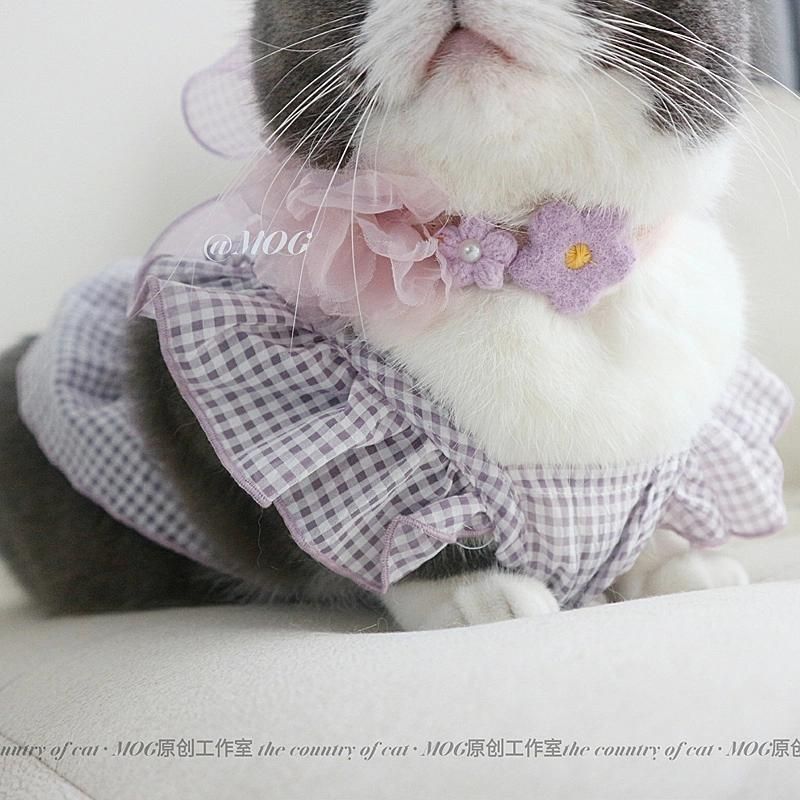 Luxury Pet Dog Cat Skirt Sequined Embroidered Lace Dress Clothes Evening Dress Wedding Dog Cat Clothes
