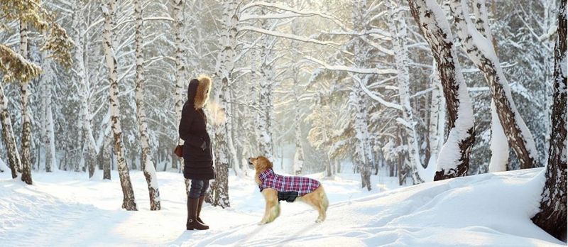 Durable Big Dog Clothing Soft Fleece Lined Dog Winter Jacket