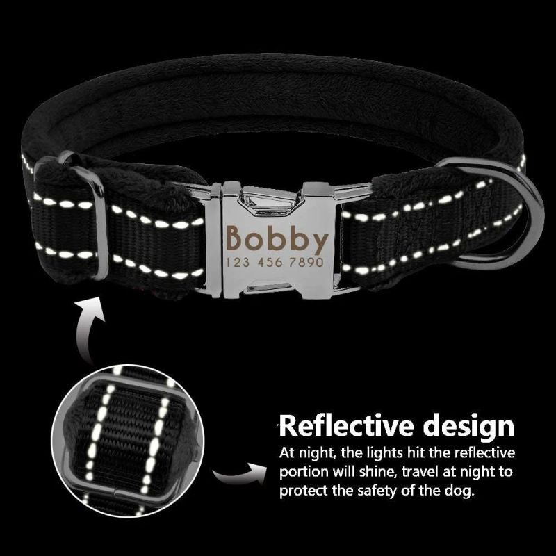 Soft Padded Personalized Dog Collar